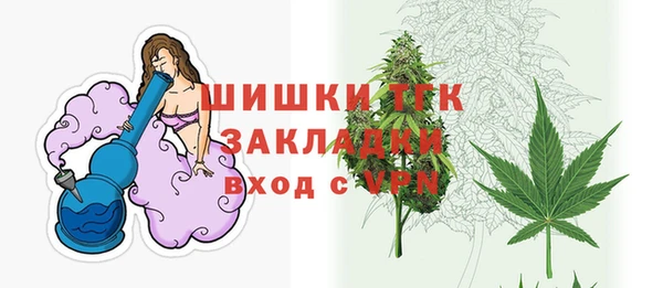твердый Кодинск