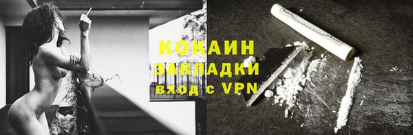 твердый Кодинск