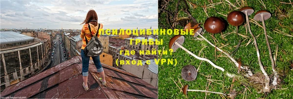 твердый Кодинск