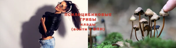 круглые Козельск
