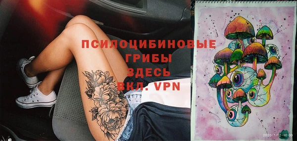 твердый Кодинск