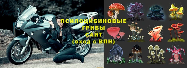 твердый Кодинск