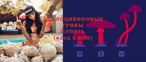 твердый Кодинск