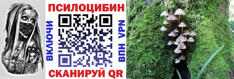 Купить закладки  Дмитровск  Псилоцибиновые грибы прущие грибы 